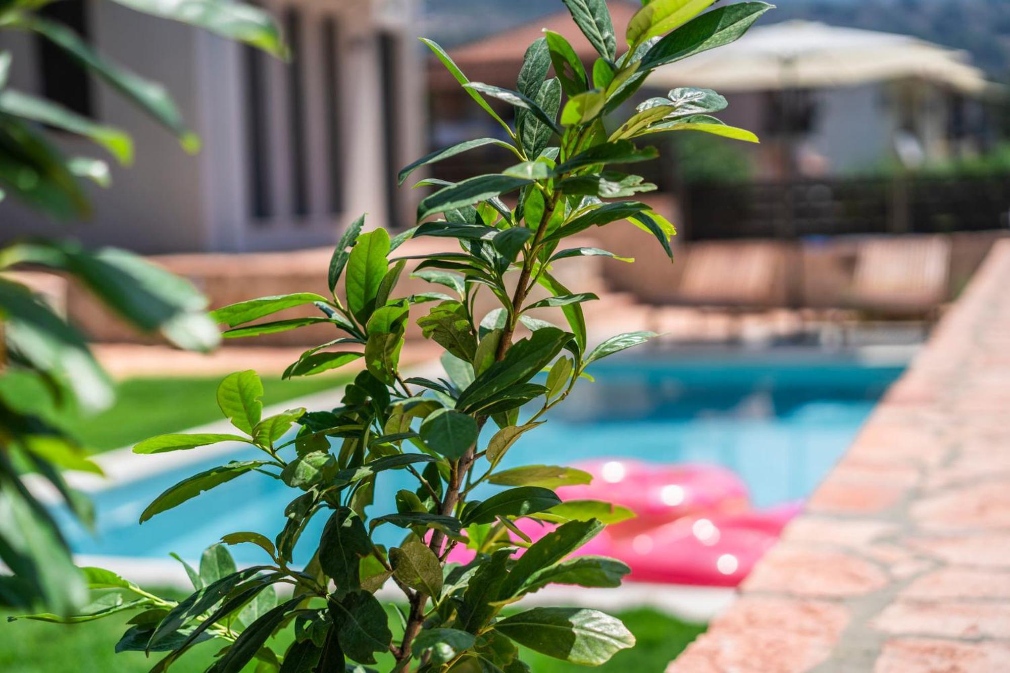 Marival Luxury Living - Adults Only Apartman Szívota Kültér fotó